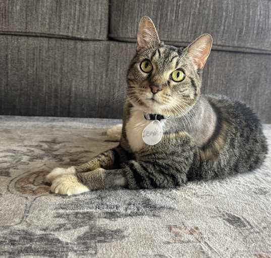 Photo of Bertha