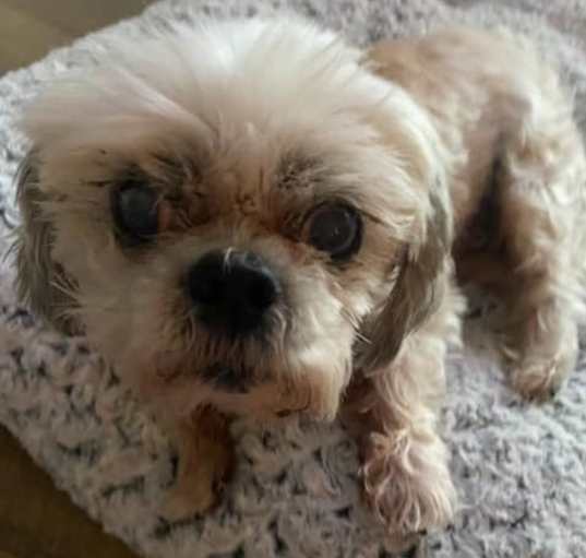 Photo of Darby