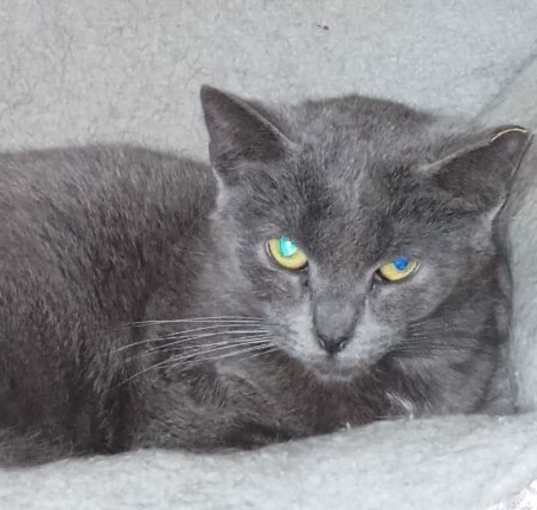 Photo of Shilo