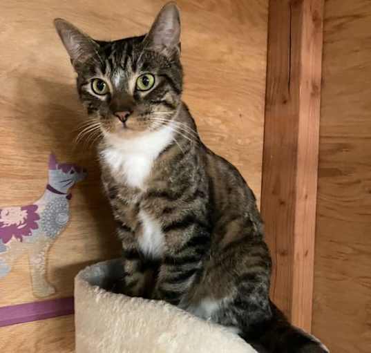 Photo of Reginald