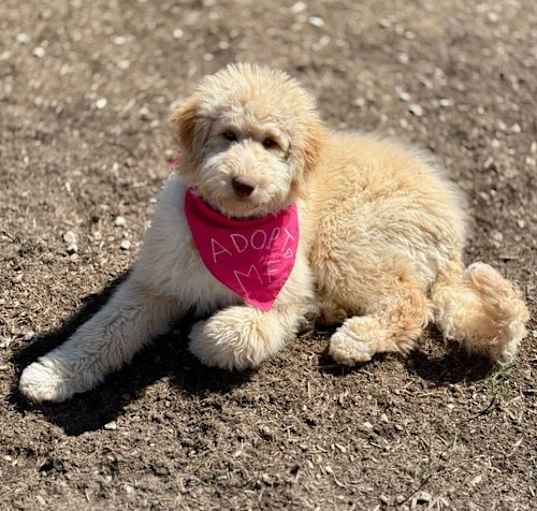 Photo of Suni