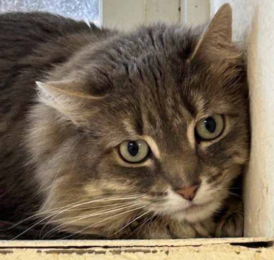 Photo of Binx