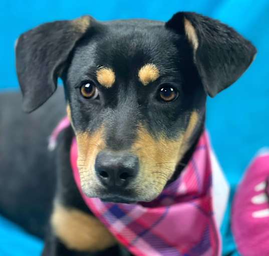 Photo of Gretta