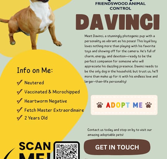 Photo of Davinci