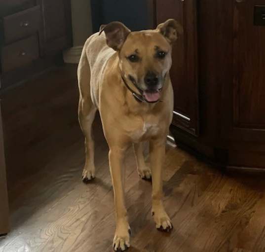 Photo of Zeke