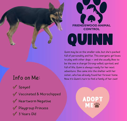 Photo of Quinn