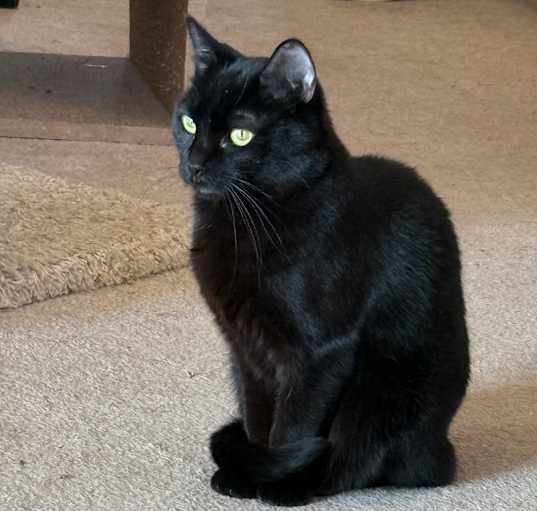 Photo of Lorna