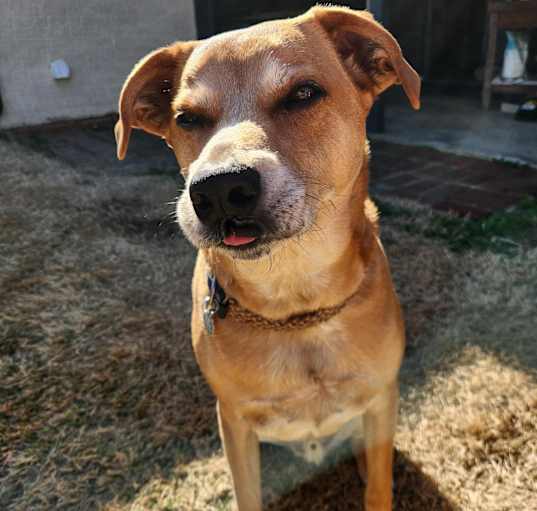Photo of Cooper R