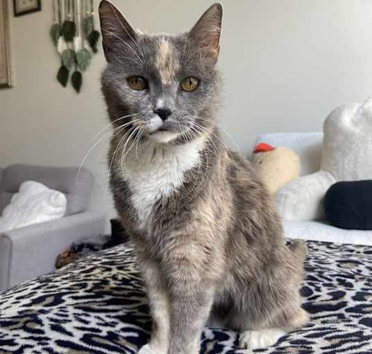 Photo of Adorable Miss Quartz
