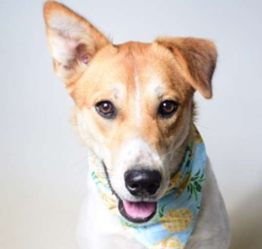 Photo of Molly