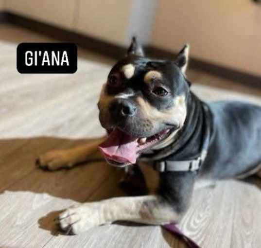 Photo of Gi’ana