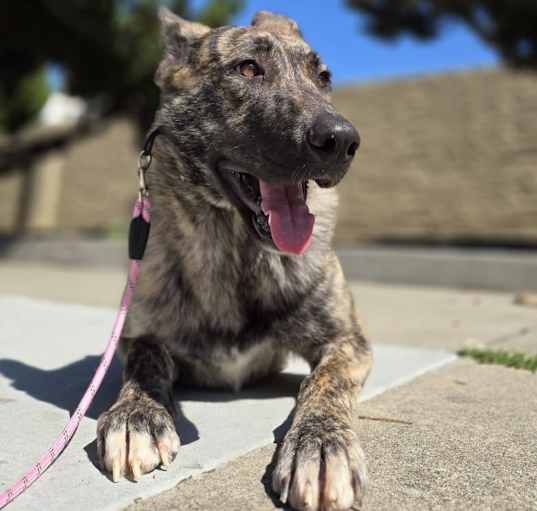 Photo of Kinzie