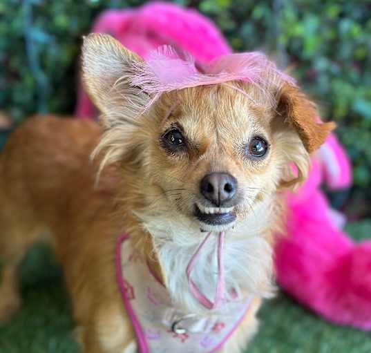 Photo of Gia