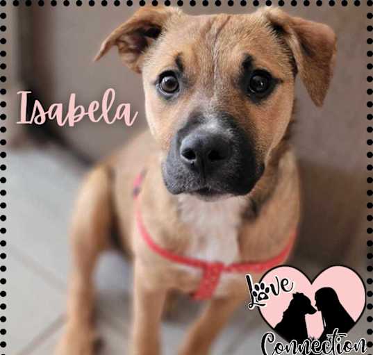 Photo of Isabela