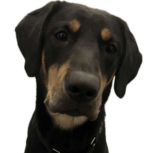 Photo of Temu
