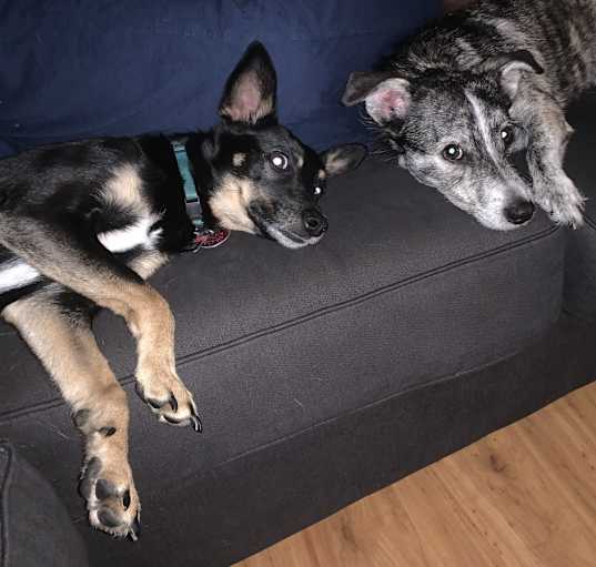 Photo of Ash & Misty