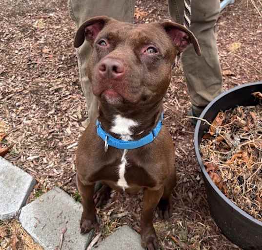 Photo of Oso