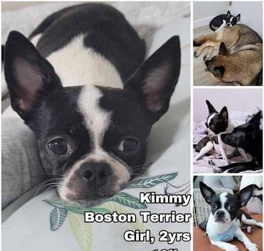 Photo of Kimmy from Korea