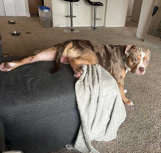 Photo of Stretch