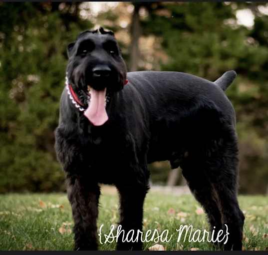 Photo of ACE
