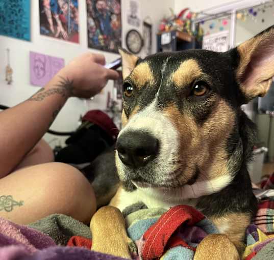Photo of Sheila