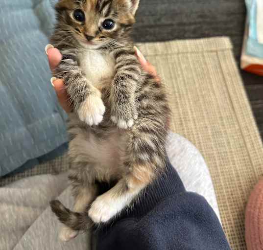 Photo of Mooni