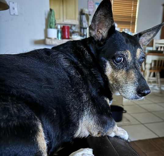 Photo of Angel