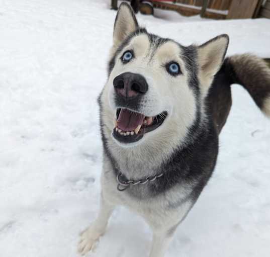Photo of Jon Snow