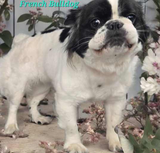 Photo of Camile