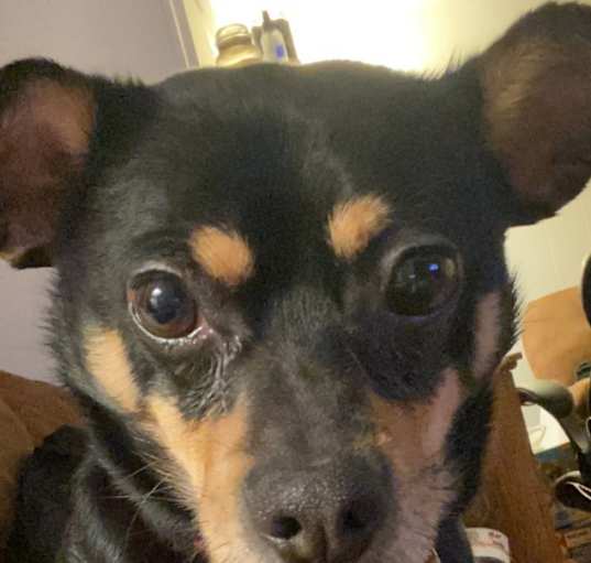 Photo of Jax