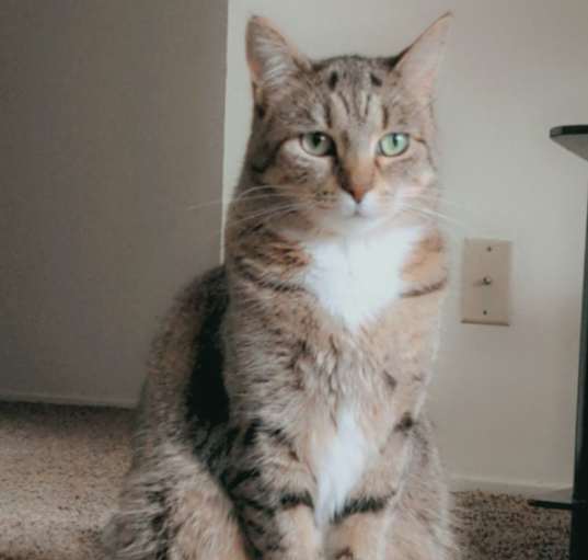 Photo of Briseis