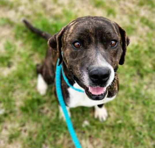 Photo of Tracker