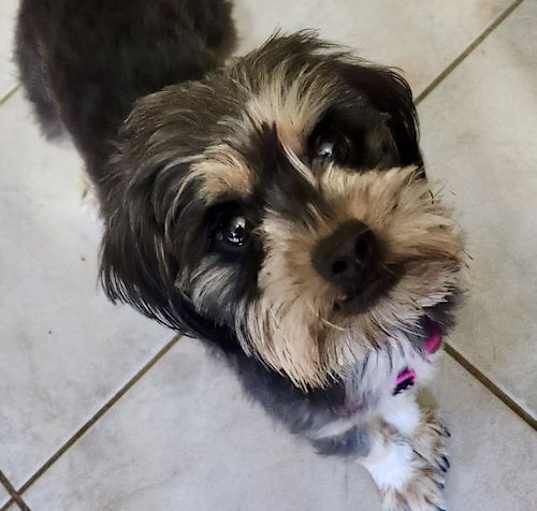 Photo of Lizzie