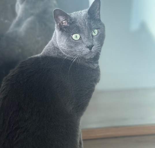 Photo of Mr Jones