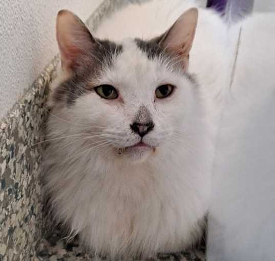 Photo of Zeek