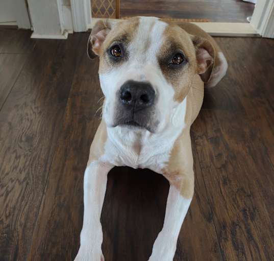 Photo of Roxy