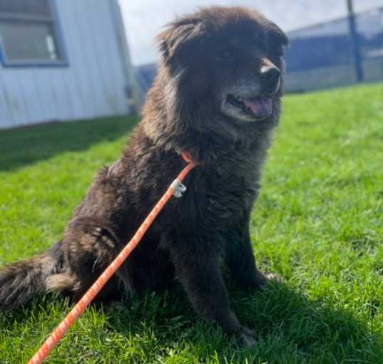 Photo of Misty