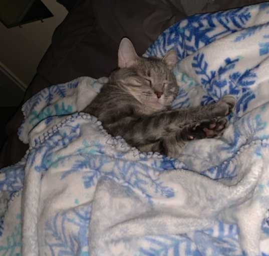 Photo of Amora
