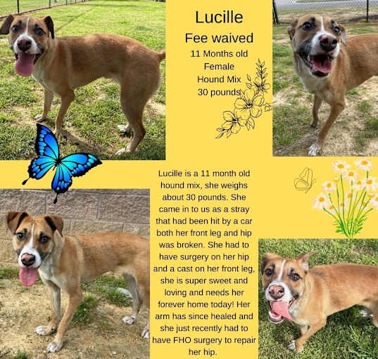 Photo of Lucille