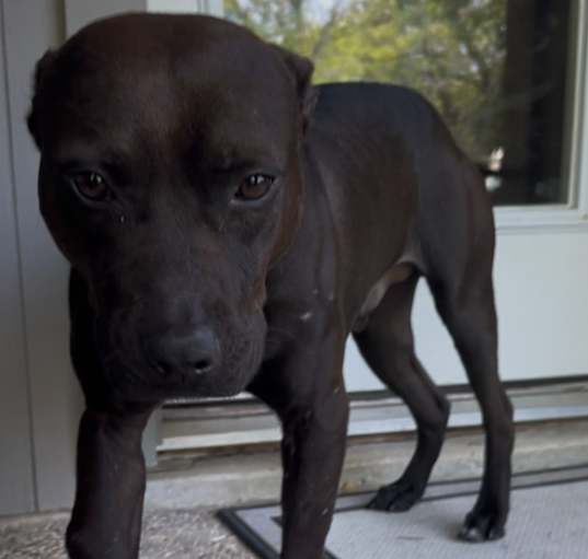 Photo of Moonpie