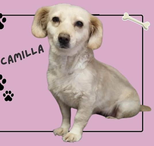 Photo of Camilla