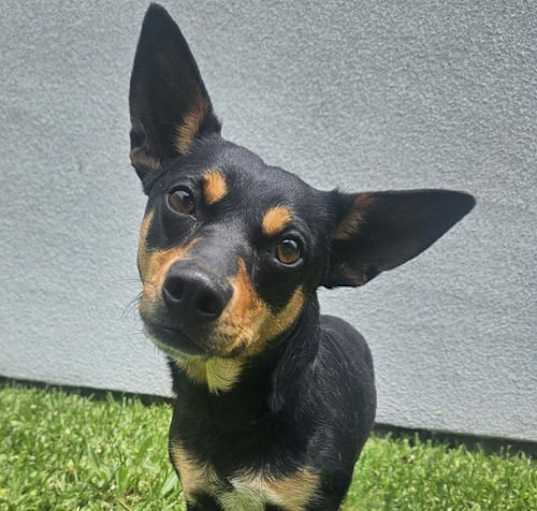 Photo of Lady Sable in LA
