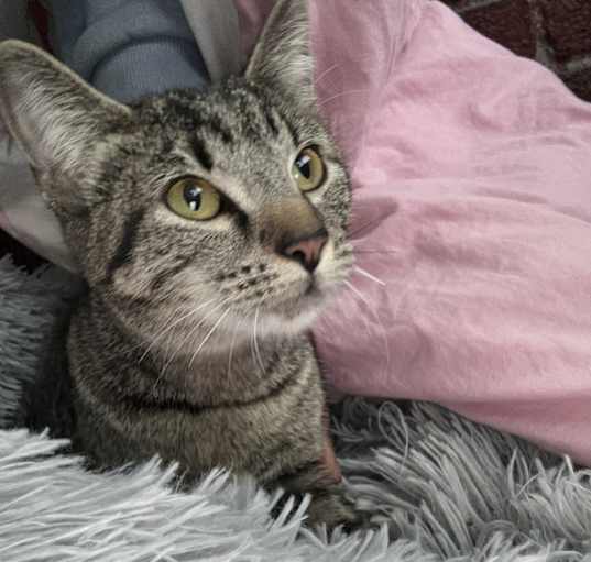 Photo of Nora