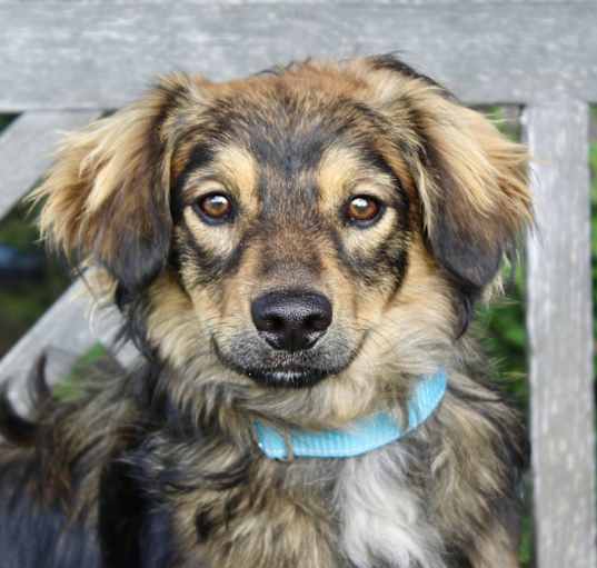 Photo of Riggs