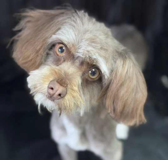 Photo of Malcolm