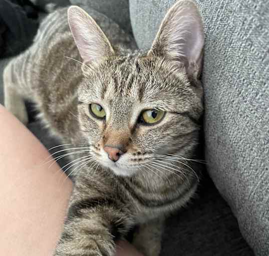 Photo of Leeloo