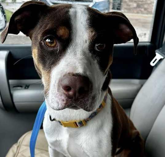 Photo of Sentry