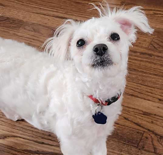 Photo of Lilly