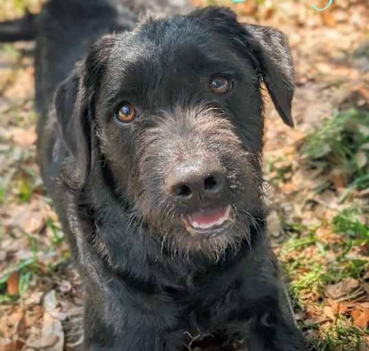 Photo of Dolly
