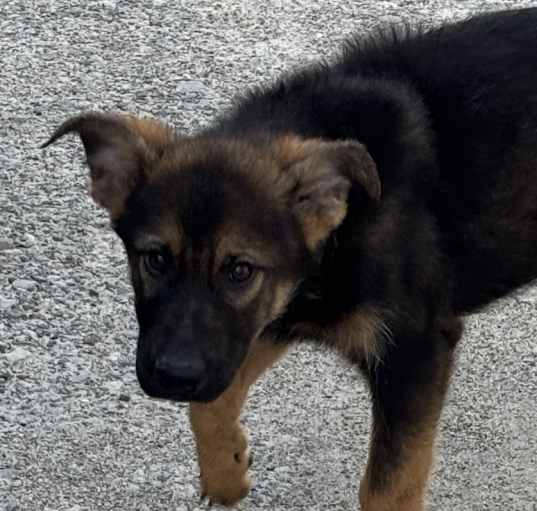 Photo of Major